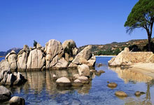 PINGO國(guó)際謀求上市背后：創(chuàng)始人退出、業(yè)務(wù)被轉(zhuǎn)移、投訴不斷